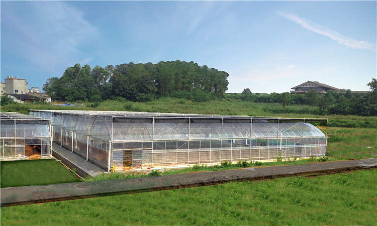 成都贝瑞草莓园